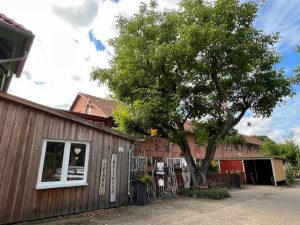 thumbnail_IMG_4417 (1)