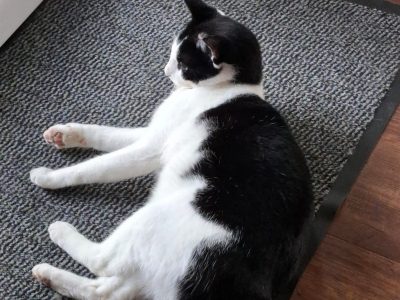 6e6676b6-d086-4b13-8948-052eeb5c0014