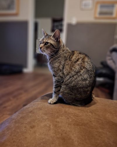 PHOTO-2025-05-21-21-51-30