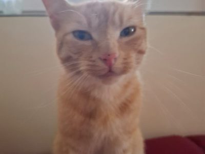 f14b6ba7-62eb-49e5-afbd-aebb5ffc83fd