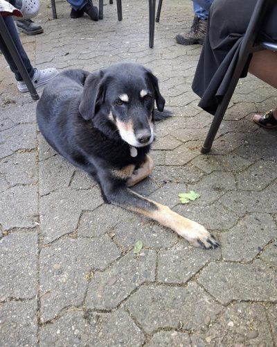 thumbnail_PHOTO-2025-05-21-21-51-58